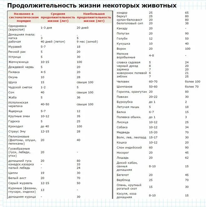 Срок жизни животных таблица 1. Сколько живут животные таблица. Продолжительность жизни животных окружающий 1 класс таблица. Животные Продолжительность жизни таблица.