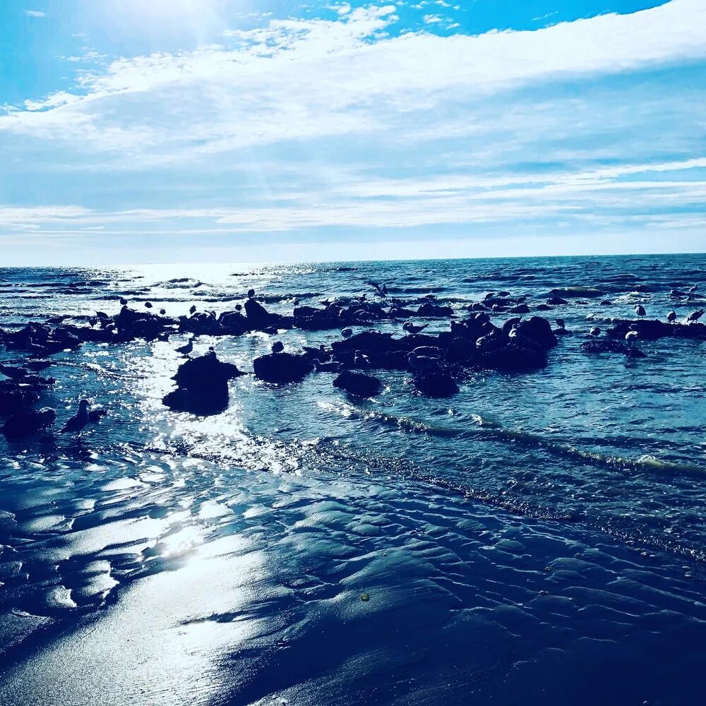 Морее в