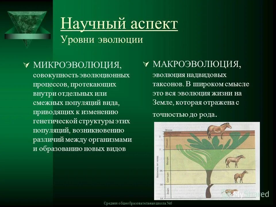 Научный аспект характеристика. Что такое аспекты в педагогике. Основные аспекты бытия науки. Научный аспект характеристика. Основные аспекты науки.