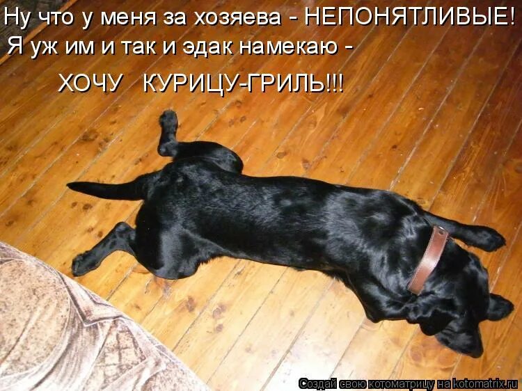 Алабай кобель и сука вместе. И так и эдак картинка. Ушла в астрал вернусь не скоро. Уж я к ней и так и этак со словами. Так и эдак хорошо так и эдак вкусно.