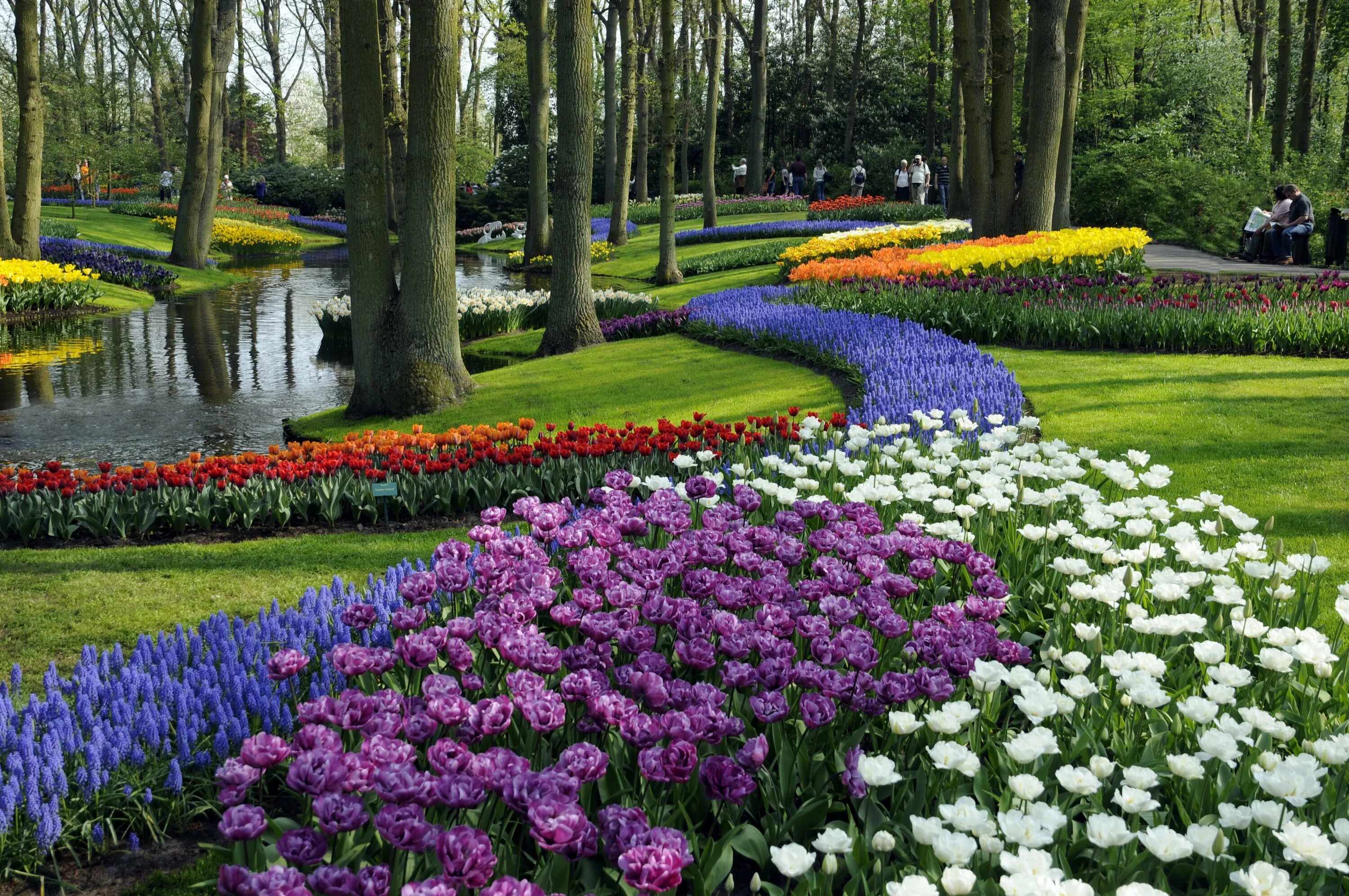 Парк какой прекрасный. Keukenhof Gardens Нидерланды. Королевский парк тюльпанов кёкенхоф. Парк «Кекенхоф» (Keukenhof) летом. Парк кёкенхоф, Лиссе, Голландия.