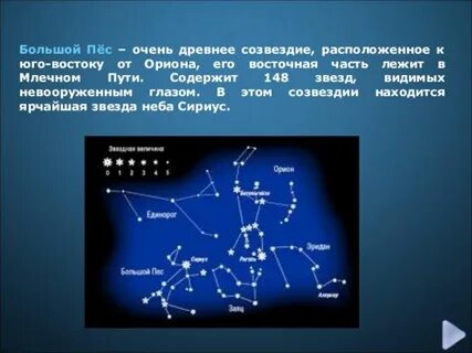 Созвездие пес какое небо