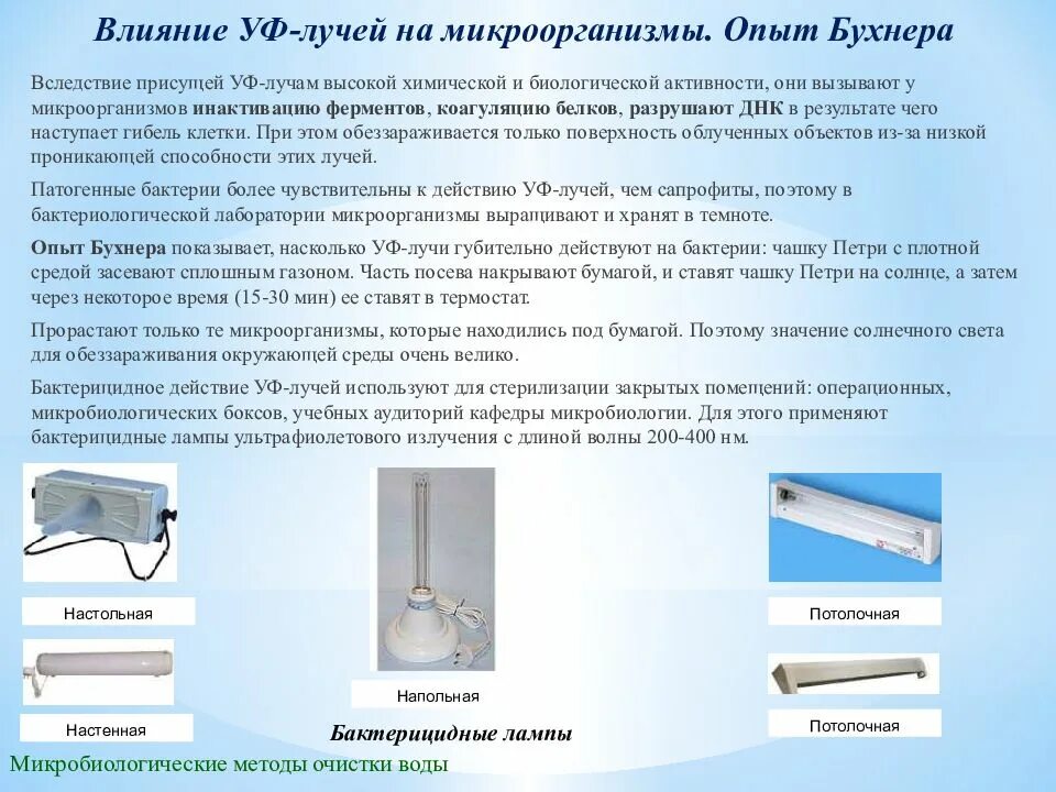 Бактерицидным обладает излучение