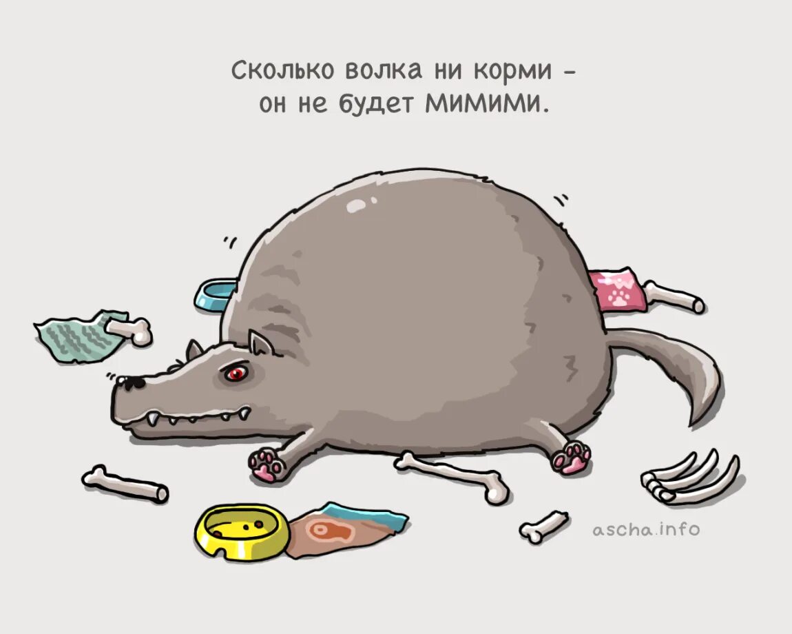 Сколько волка ни корми, он всё в лес смотрит. Сколько волка не корми он смотрит. Сколько волка не корми он. Сколько волка ни корми пословица. Сколько волка не корми все.