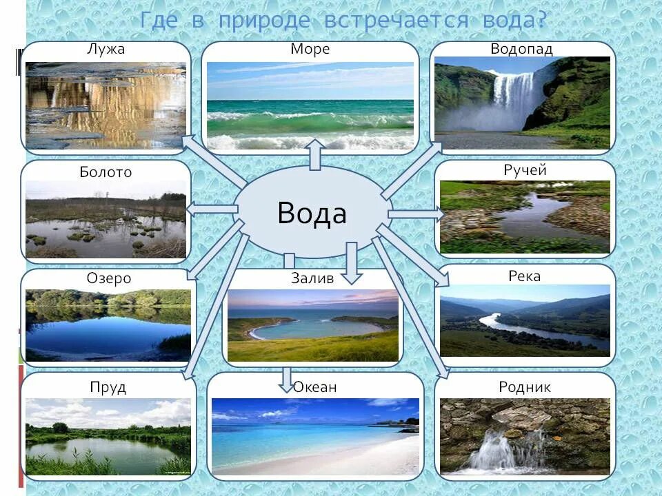 Как узнать есть вода или нет. Где в природе встречается вода. вода в природе для дошкольников. вода в природе для детей дошкольного возраста. где есть вода.