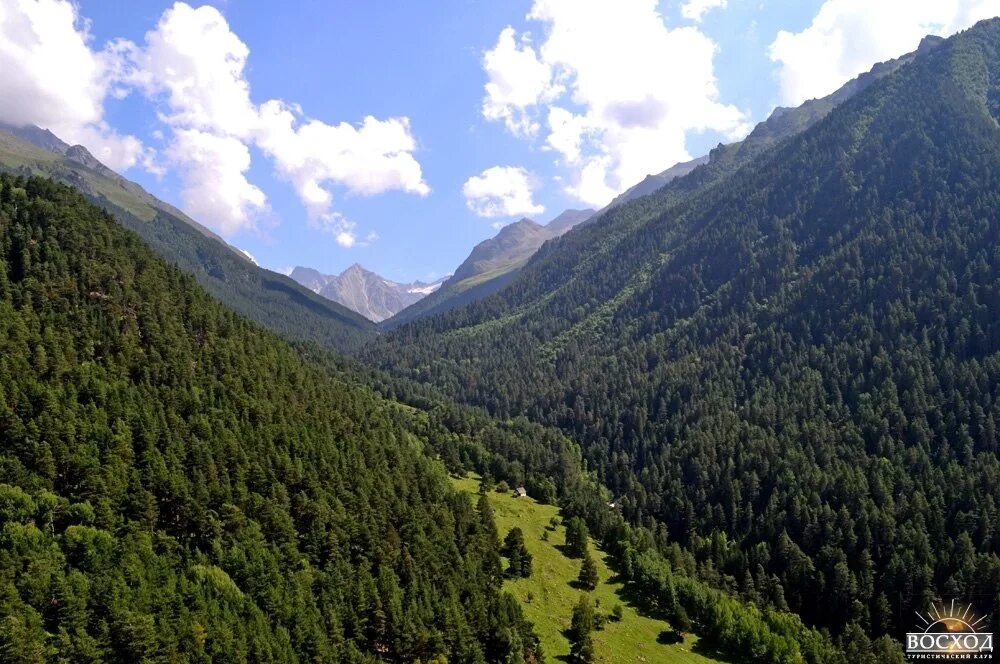 джамагатское ущелье теберда. ущелье джамагат домбай. джамагатское ущелье теберда. джамагатские нарзаны домбай. ущелье джамагат домбай.