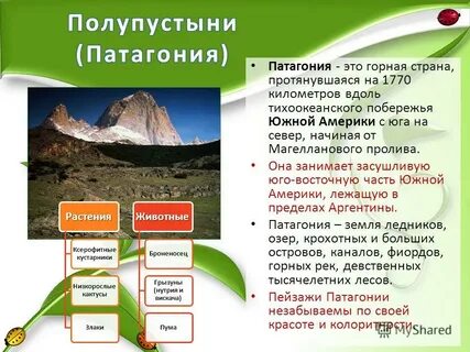 Свойственные типы почв южной америки