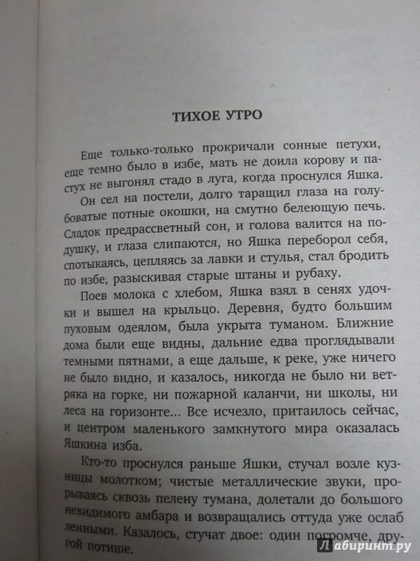 5 утра книга сколько страниц. Произведение тихое утро. Тихое утро Казаков. Ещё только только прокричали сонные петухи. Текст еще только прокричали сонные петухи.