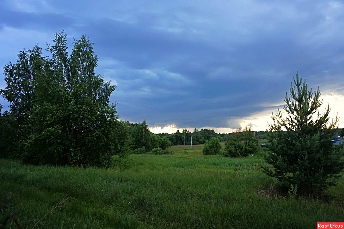 весенний дождь фет. афанасий фет весенний дождь. а уж от неба до земли качаясь. стих про весну. качаясь движется завеса.