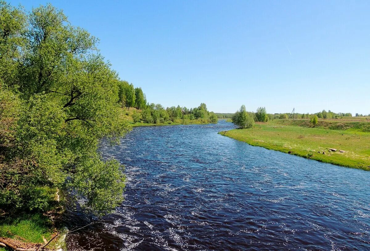 Мста новгородская область. Река Мста Боровичи. Река Мста Новгородская область. Исток реки Мста в Новгородской области. Природоохранная зона Горная Мста Боровичи.