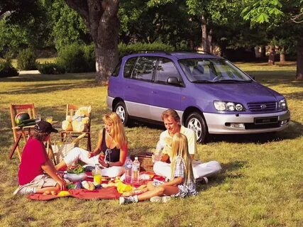 Picnic 2