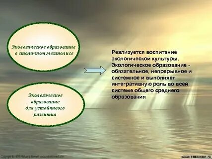 Экологическое образование тесты