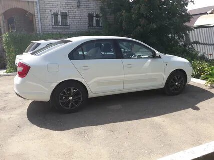 Рапид r16