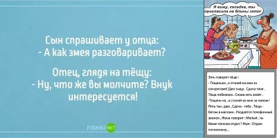 анекдоты про тещу и свекровь