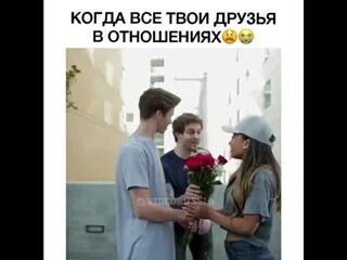 Все твои друзья