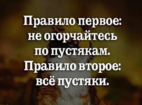 Не переживать по пустякам. Я накручиваю себя мем. Жизнь любит не тех кто ноет по пустякам. Расстраиваться по пустякам. Не огорчайтесь по пустякам.