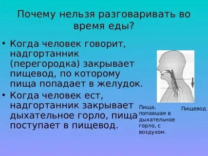 Во время разговора нельзя