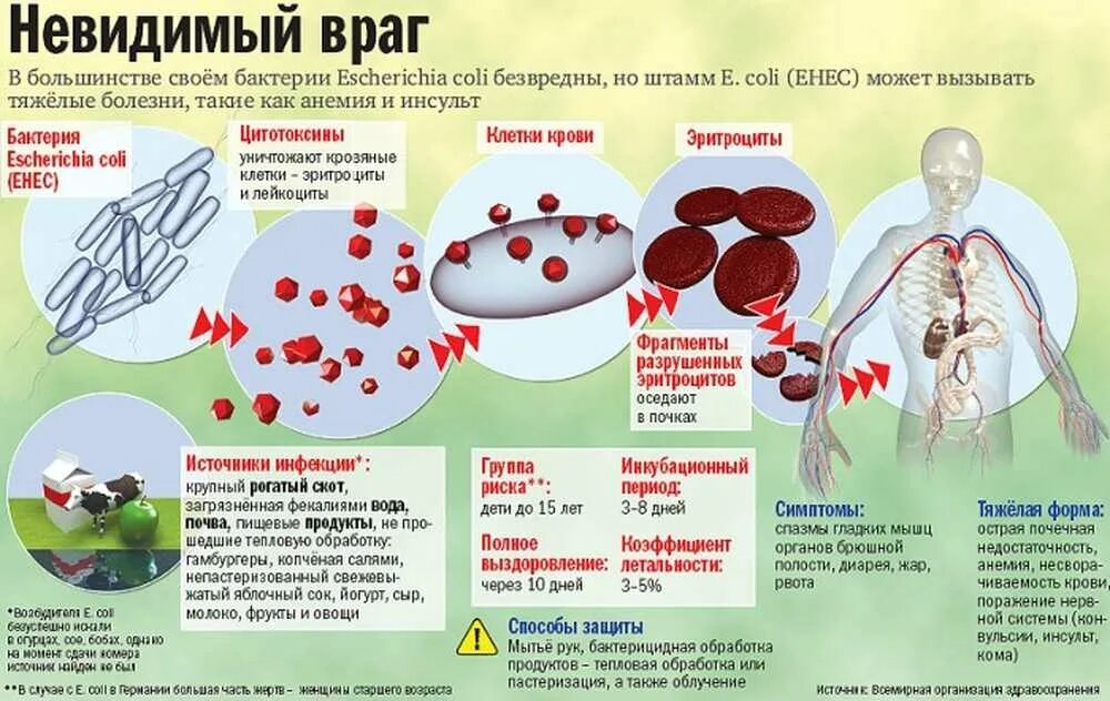 Факторы заражения кишечных инфекций. Острые кишечные инфекции симптомы. Признаки кишечной инфекции. Кишечные инфекции у детей. Сальмонеллез меры