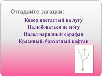 Загадки ковер