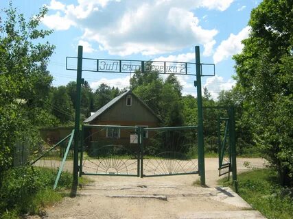 Березка 1