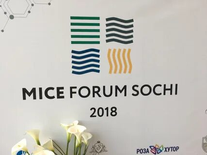 Бизнес форум сочи