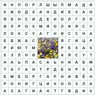 Комнатное растение сканворд 7