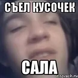 Мальчиков сука
