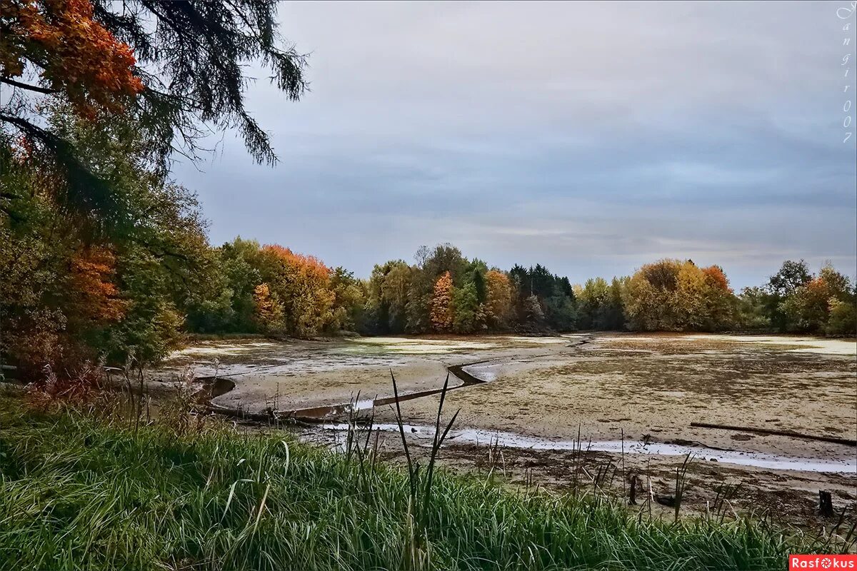 Пересохший водоем