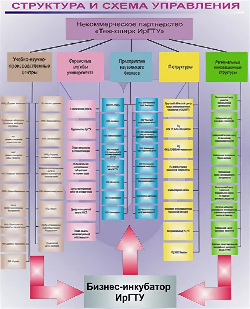 Управляющая компания технопарк. Структура технопарка. Структура технопарков. Структура инновационного вуза. Структура Академии.
