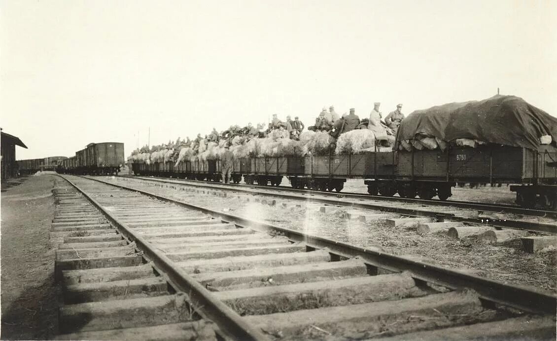 Железные дороги в отечественной. Северная железная дорога 1941. Железнодорожная станция ВОВ. Мурманская железная дорога мировой войне 1941.