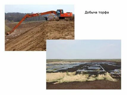 Методы рекультивации почв