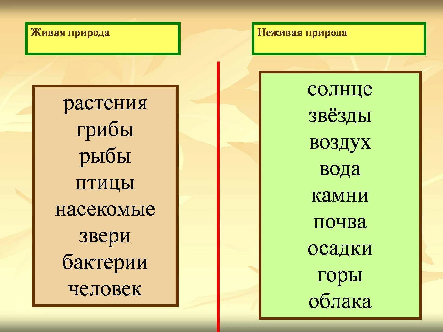 Живая и неживая природа. Неживая природа 1 класс. Грибы относятся к живой или неживой природе. Что относится к живой природе 1 класс. В природе есть признаки