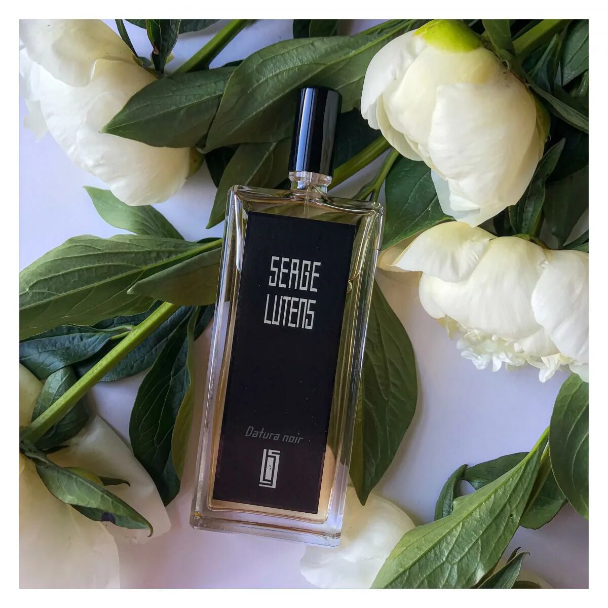 Datura noir. Серж лютанс. серж нуар серж лютенс. datura noir serge. серж лютен черный дурман.