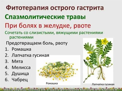 Какие травы при отравлении