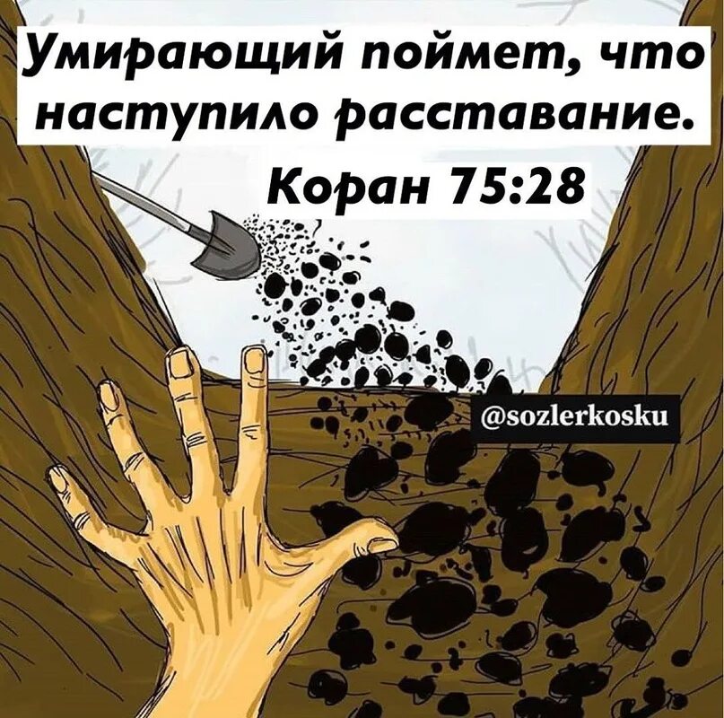 С прощенным воскресеньем. Изображение с прощённым воскресеньем. Прошу прощения за вольные и невольные обиды. День прощенного воскресенья. День прощальный наступает.