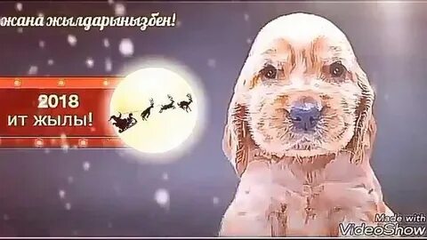 Скинхедтер бір-бірінің мүшесін сорады гей порно