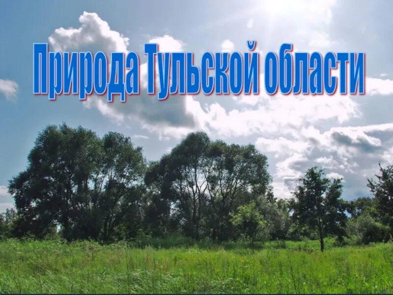 Природа тульского края проект. Разнообразие природы тульского края. Природа родного края Тульская область. Проект о природе Тульской области.