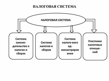Анализ состава налогов