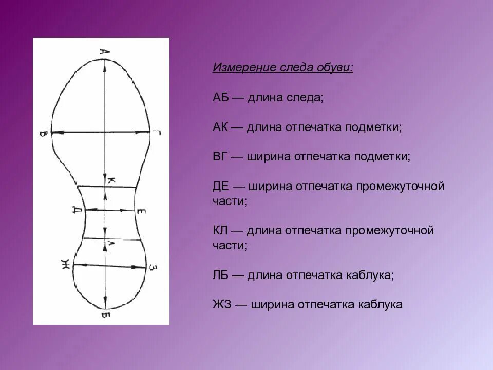 Криминалистическое значение следов человека
