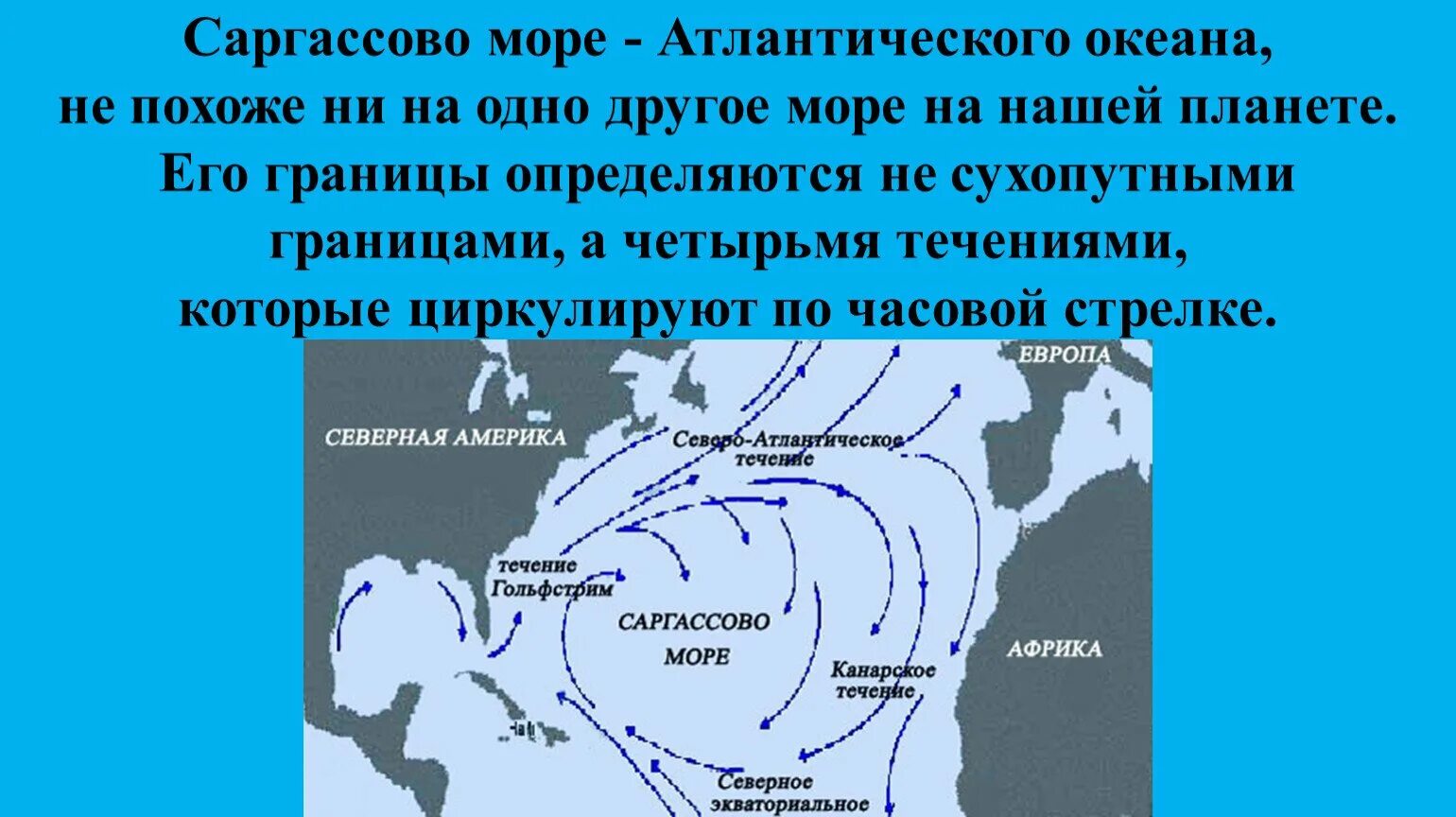 Саргассово море омывает Западный берег Африки. Атлантический океан Саргассово море. Саргассово море границы. Саргассово море течения. Океан граничит с сушей