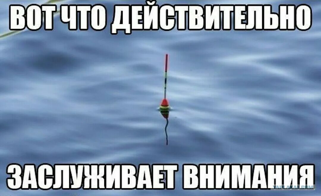 Чепуха не заслуживающая внимания 9. Заслуживает внимания. Это не заслуживает внимания. Картинки которые мы заслужили. Заслуживающий внимания и уважения.