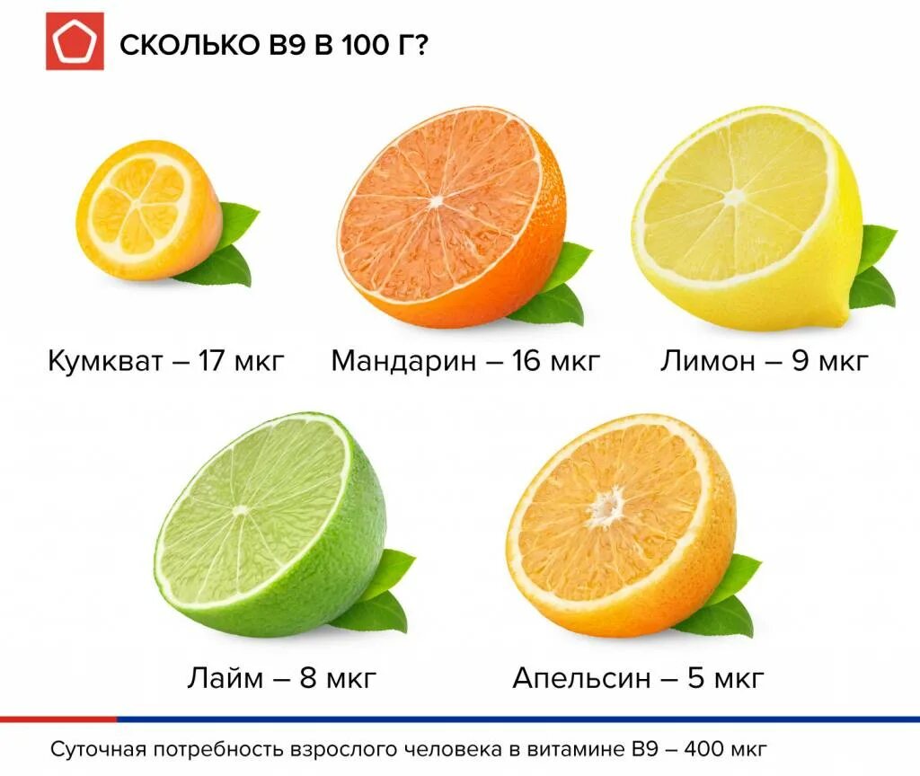 Апельсин грейпфрут как называется. Цитрус фрукты. Цитрусы названия. Все виды цитрусовых. Какие есть виды цитрусовых.