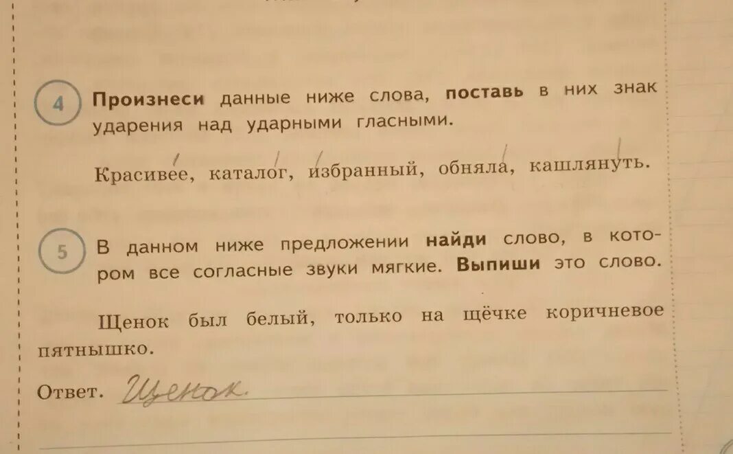 Какое ударение над словом километр. О со знаком ударения. Ударения ВПР. Знак ударения над ударными гласными. Ударение над ударным гласным.