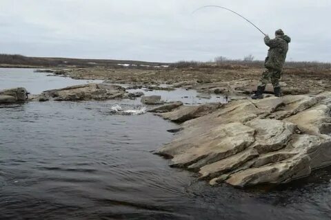 Рыбаки белого моря