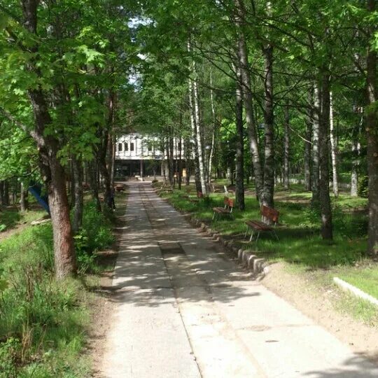 Лагерь фрегат зеленогорск. Лагерь фрегат зеленогорск. Дол фрегат спб. Фрегат детский лагерь. Фрегат детский лагерь.