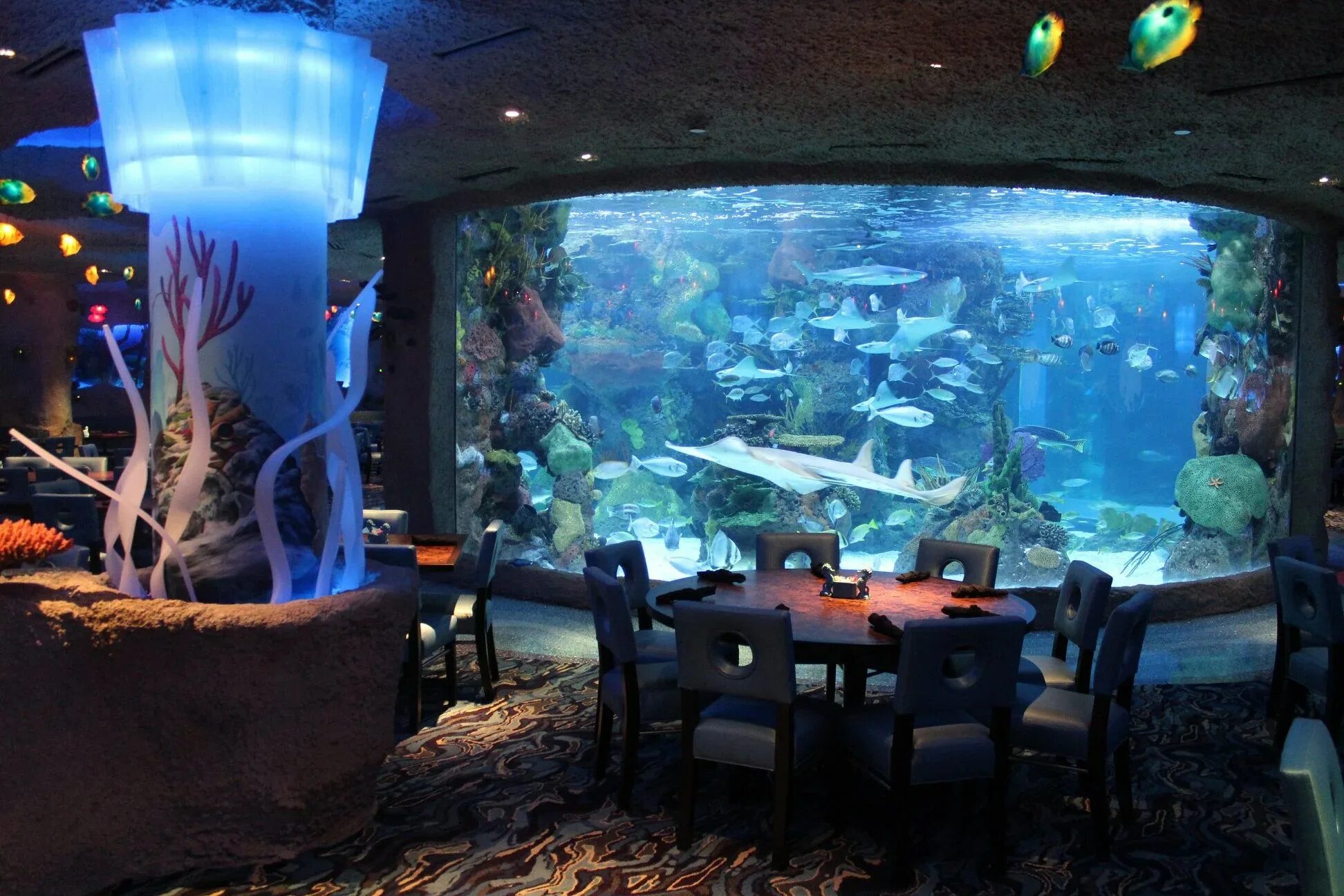 Океанариум шанхай. Океанариум Келли Тарлтона. Шанхай океанариум. Ресторан Aqua Бангкок. Океанариум Siam Ocean World.