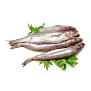 Путассу свежемороженая