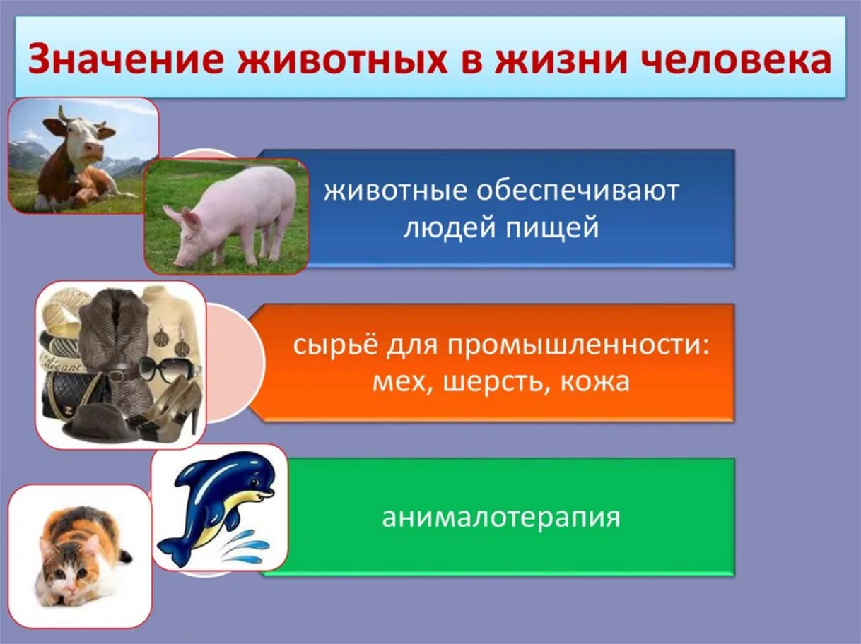 Как обмениваются информацией животные