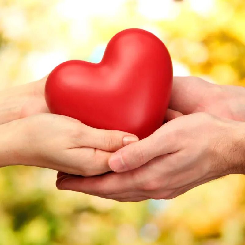 Международный день отношений. Сердце в руках. Красивое сердце в руках. Международный день благотворительности. День благотворительности картинки.