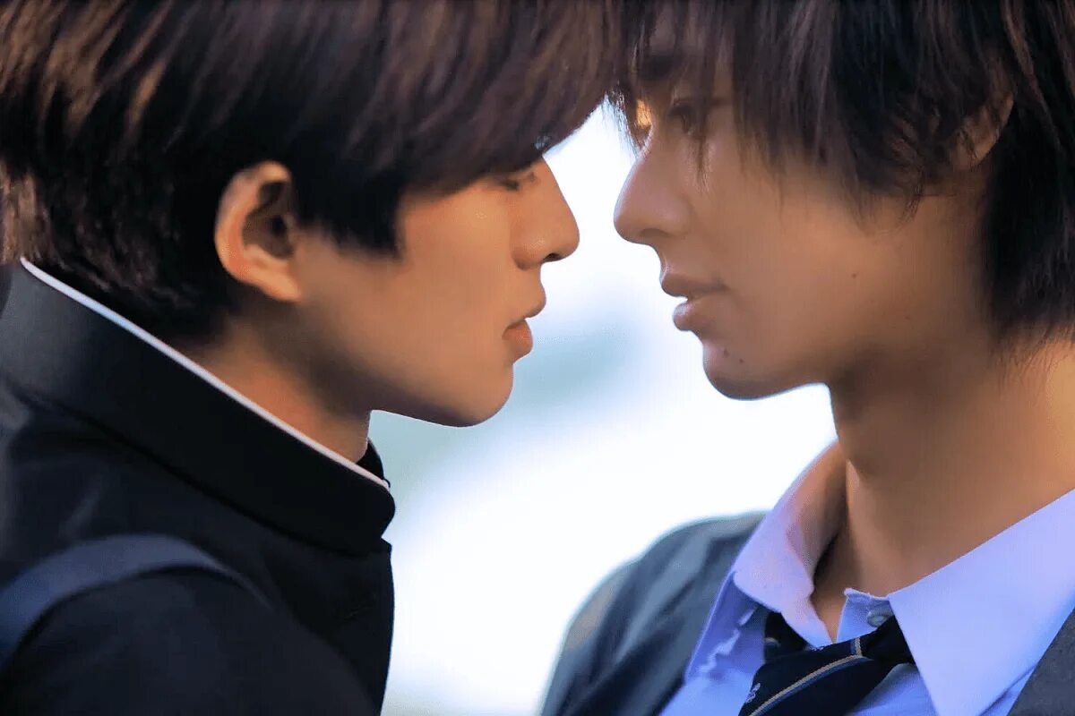 Лучшие друзья дорама. Бл япония дорама. bl kiss дорама. bl dorama судьба. бл дорама япония поцелуй.